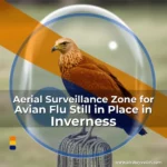 Artistic representation for Aerial Surveillance Zone for Avian Flu Still in Place in Inverness