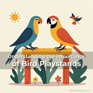 Artistic representation for Understanding the Importance of Bird Playstands